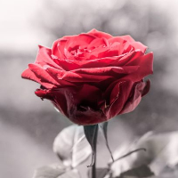 Eva Stausland Frigstad