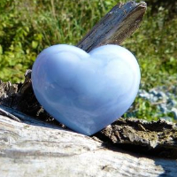 Hallvard Gunnar Bjørkli